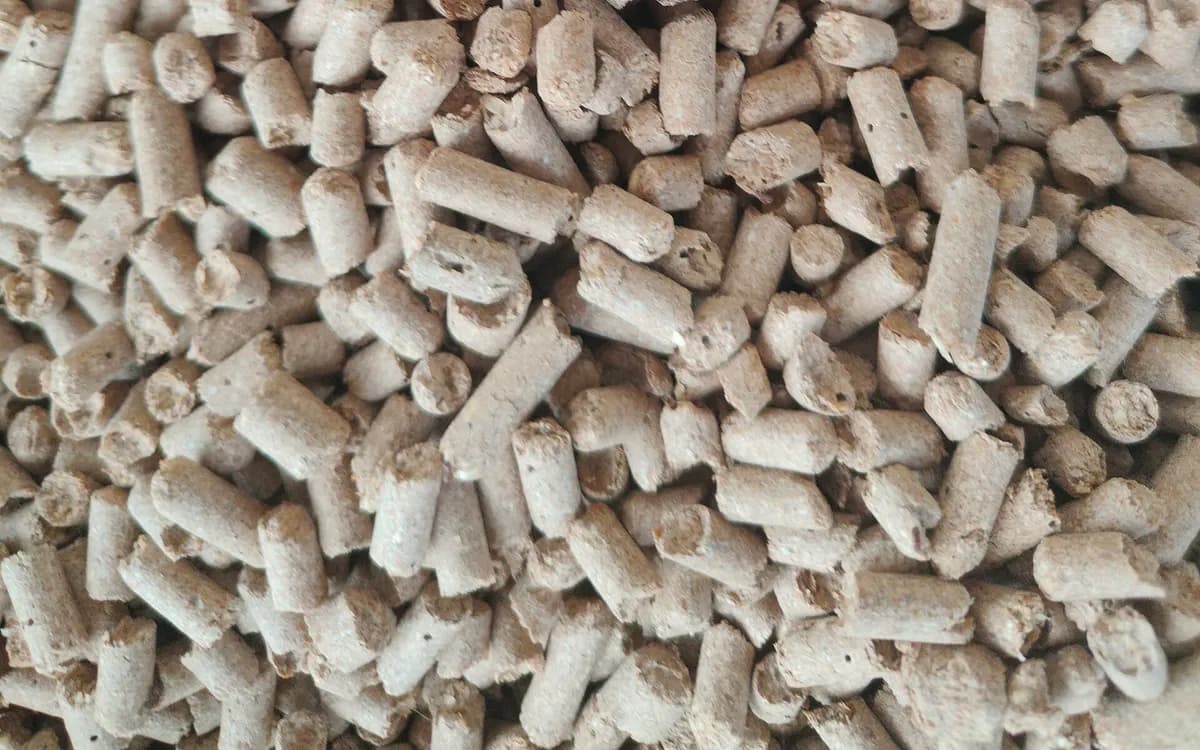 Wood pellets, close up